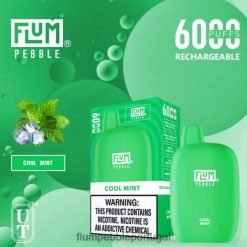 FLUM PEBBLE Near Me - FLUM PEBBLES 6.000 baforadas H682F024 menta refrescante