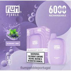 FLUM PEBBLE Price - FLUM PEBBLES 6.000 baforadas H682F017 hortelã de mirtilo