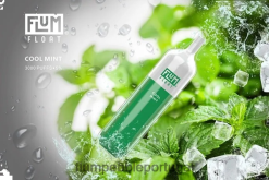 FLUM PEBBLE Review - FLUM FLOAT 3.000 baforadas H682F025 menta refrescante