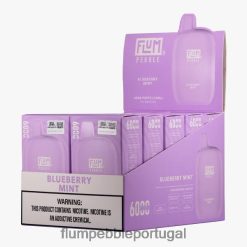 FLUM PEBBLE Vape Flavors - FLUM PEBBLES 6.000 baforadas 10 pacotes H682F018 hortelã de mirtilo