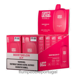 FLUM PEBBLE Vape Flavors - FLUM PEBBLES 6.000 baforadas 10 pacotes H682F08 melão gelado