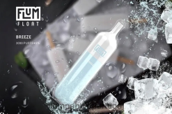 FLUM PEBBLE Vape Review - FLUM FLOAT 3.000 baforadas H682F019 brisa