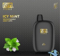 FLUM PEBBLE Vape Review - FLUM PEBBLES 6.000 baforadas H682F049 hortelã gelada