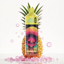 JNR Alien 10000 Puffs Vape Descobrável Gelo de Abacaxi com Bateria 850mAh e Carga Type-C