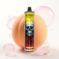 JNR Calavera 11000 Puffs Disposable Vape Pêssego Manga com Porta Type-C 850mAh