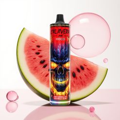 JNR Calavera 11000 Puffs Recarregável USB-C 850mAh 21ml 1.0ohm Chiclete de Melancia