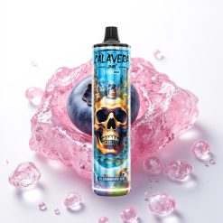 JNR Calavera 11000 Puffs Recarregável USB-C 850mAh 21ml Mirtilo Gelo 0%/2%/5%