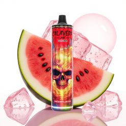 JNR Calavera 11000 Puffs Recarregável USB Type-C 21ml Sabor Melancia Gelada