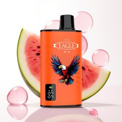 JNR EAGLE Smart 23000 Puffs Vape Digital Tela 1.0ohm Melancia Chiclete 25ml 2%