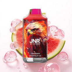 JNR Falcon 16000 Puffs Vape Descansável Morango Melancia Gelo - 850mAh, 22ml, Dual Mesh, Tipo C, LED, 0%/2% Nic