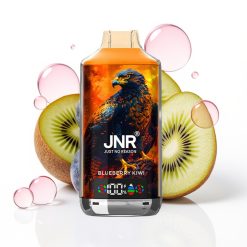 JNR Falcon X 18000 Puffs Dispositivo Vaporizador Descartável Mirtilo Kiwi 750mAh 24ml Dual Mesh Coil Tipo-C