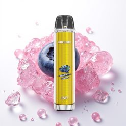 JNR Gold380 6000 Puffs 1500mAh 13ml Mirtilo no Gelo 0%2%5%