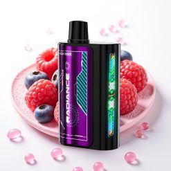 JNR Radiance 31000 Puffs Recarregável Tipo-C 28ml Sabor MIRTILO FRAMBOESA ÁCIDA