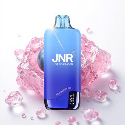 JNR Rainbow 10500 Puffs Descartável Bateria 600mAh Manga 0.8ohm 18ml Sabor Mirtilo Gelo