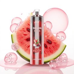 JNR Shisha Hookah 12000 Puffs 24ml 750mAh Type-C Sabor Cereja Melancia Gelo