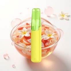 Snowplus Dash 4000 Puffs Dispositivo Descartável Chá de Jasmim LongJing, Atomizador Cerâmico, 530 mAh, 7,5 ml