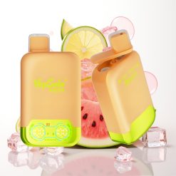 Vapsolo Twins 20000 Puffs Vape Descarte Limão Lima & Melancia Gelada, 40ml, 20mg/ml/50mg/ml, Type-C